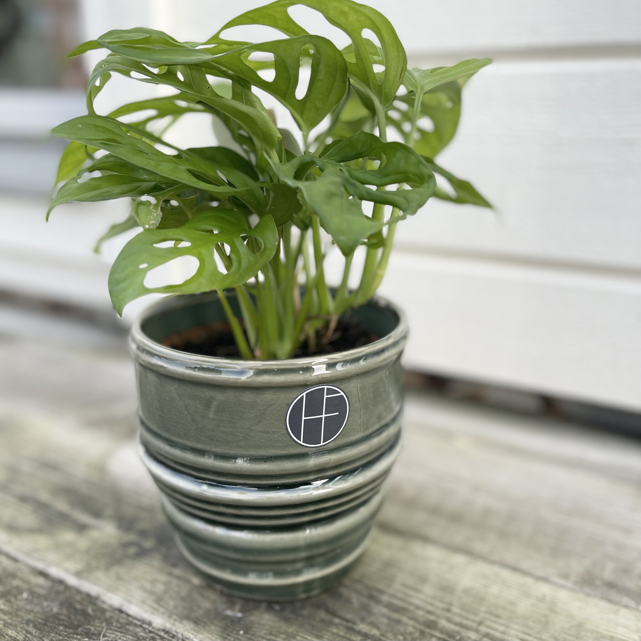 Kruka, petrol