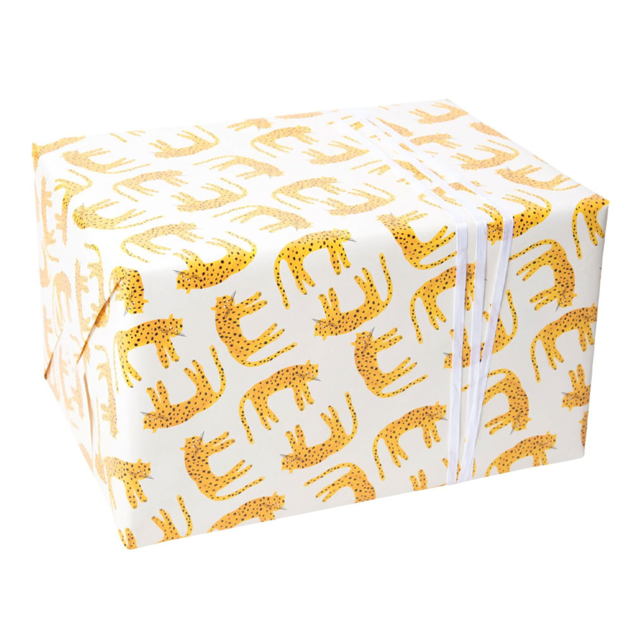 Presentpapper 4 m - LEO