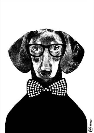 Hugo Poster A4