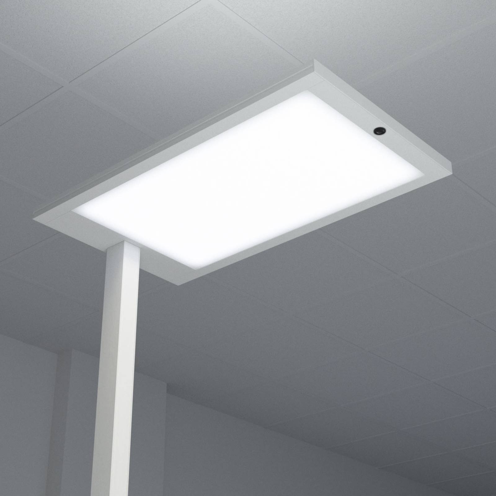 LED-golvlampa till kontor Almira, dimmer, silver