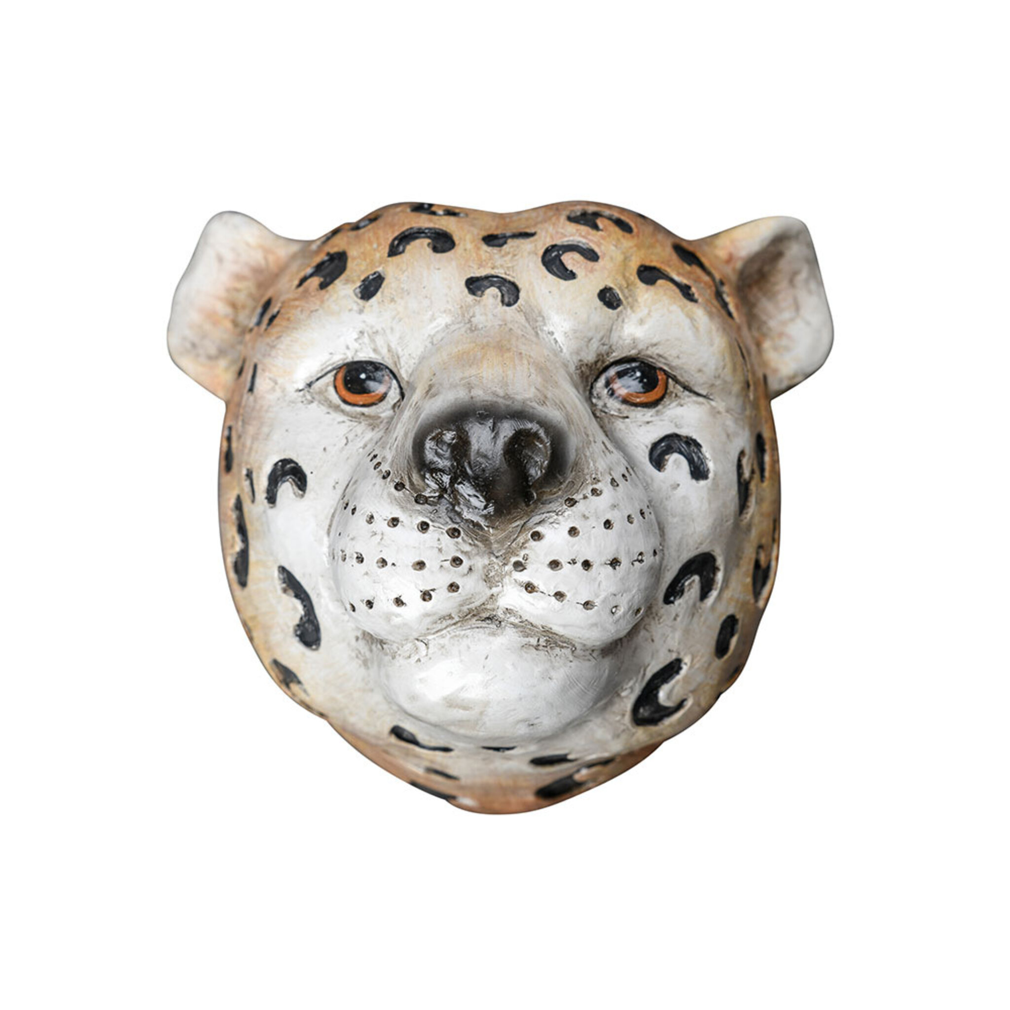 Wall vase Cheetah , L:18xW:16xH:17cm