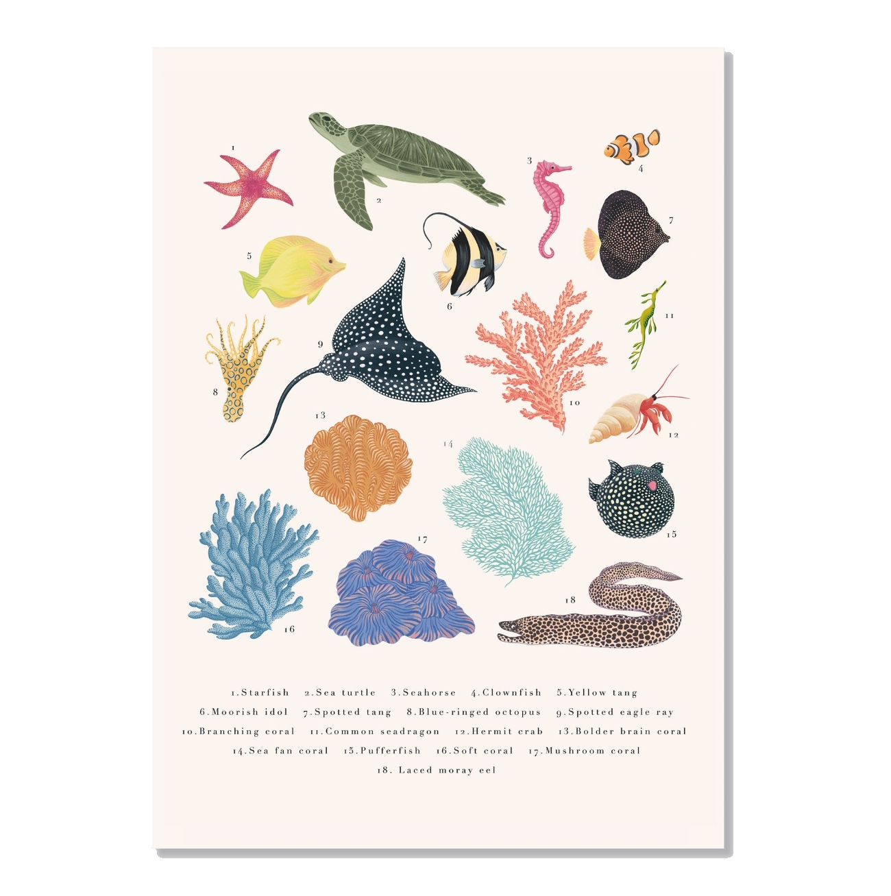 Koraller Poster Coral Reef 50x70 cm, Åsa Holmberg