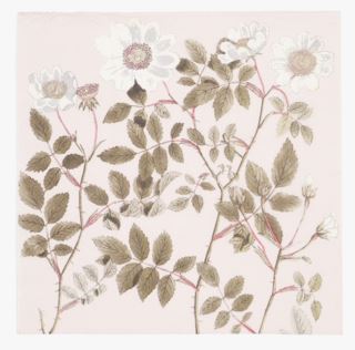White Rose pappersservett offwhite