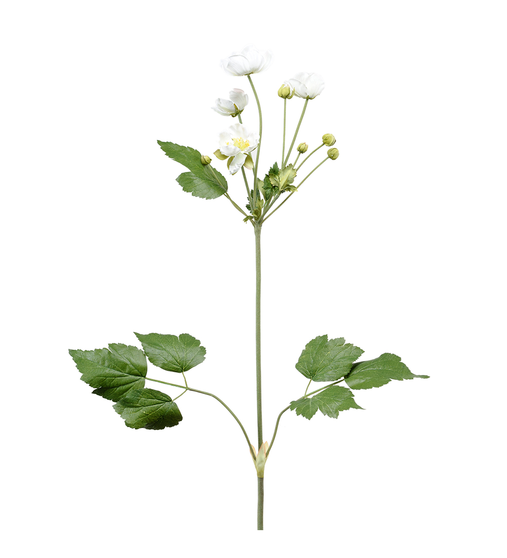 Konstväxt Anemon 110 cm vit