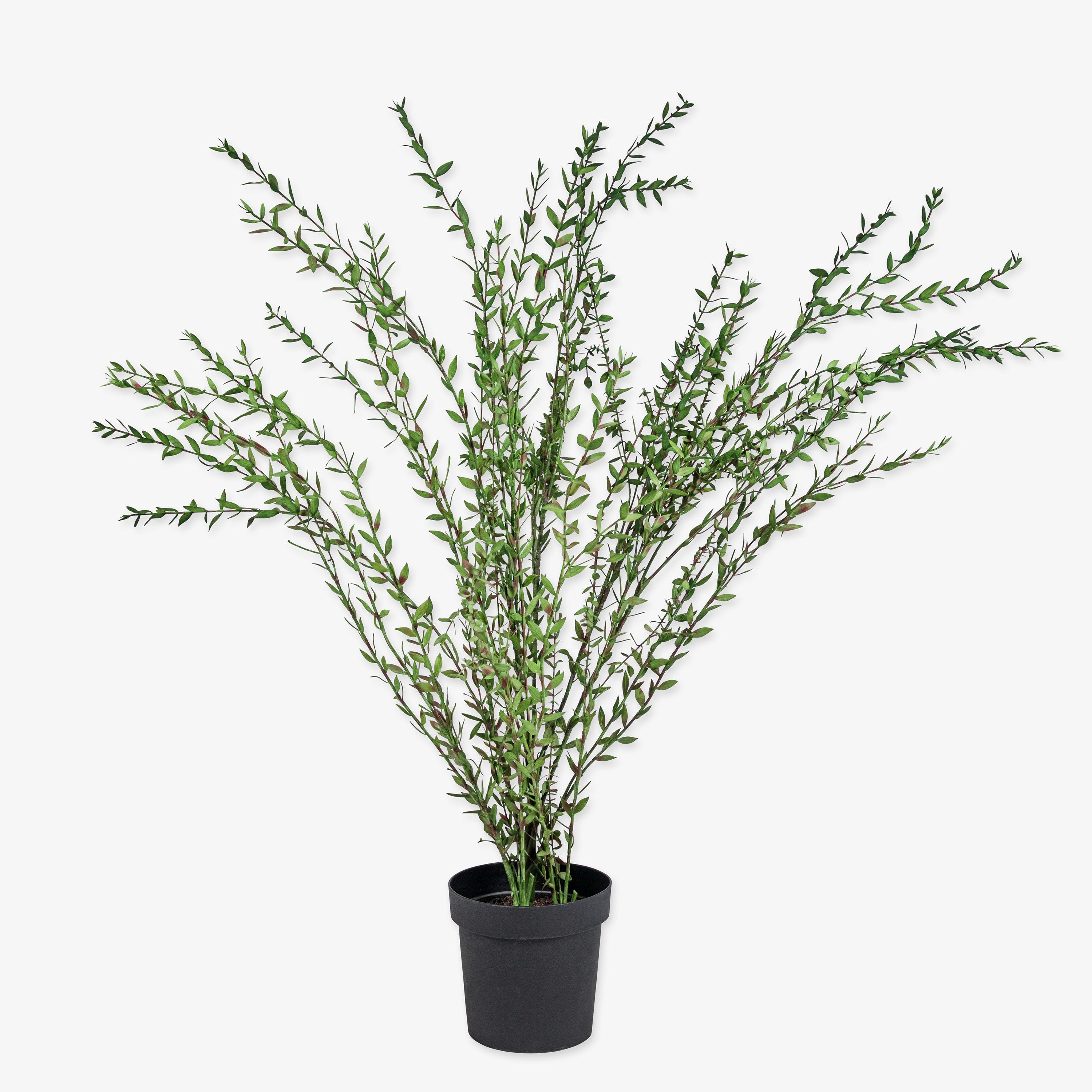 Krukväxt Konst Eucalyptus 130 cm