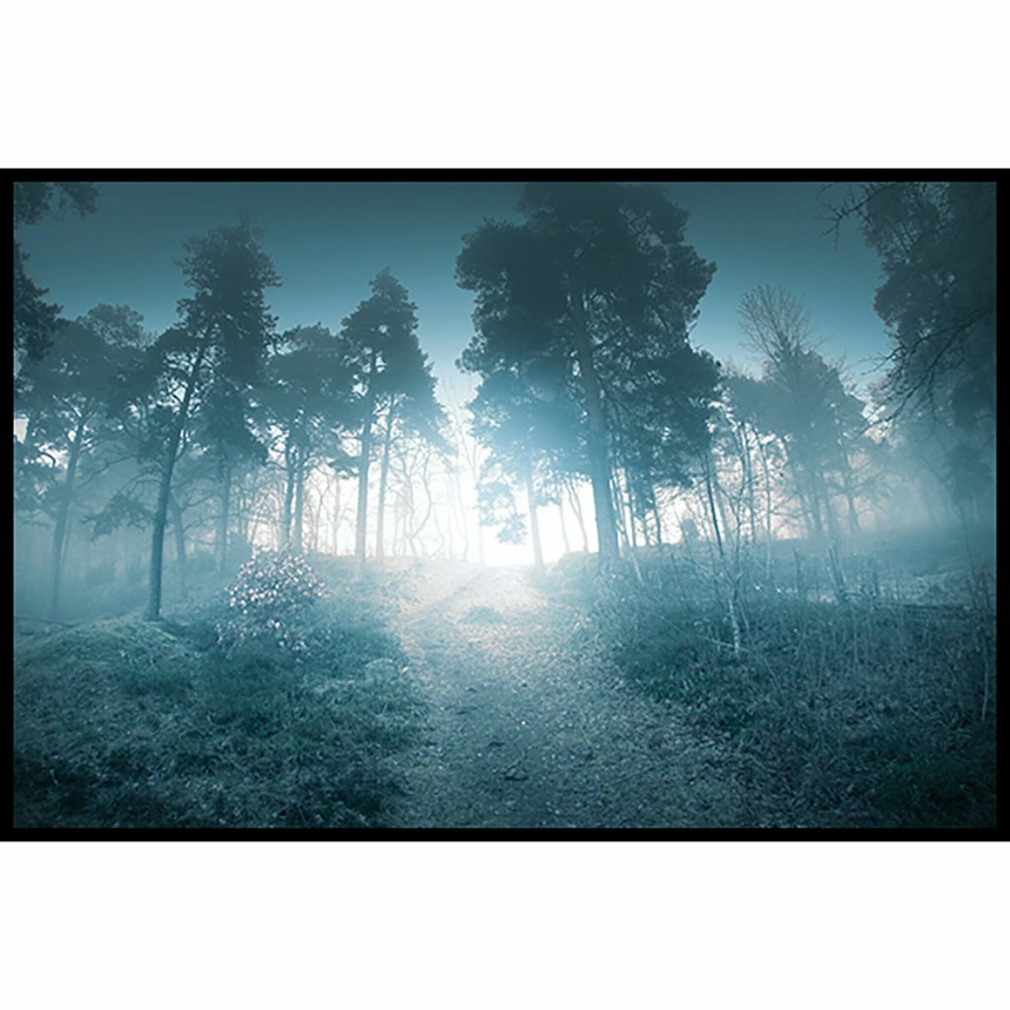 Forest Shine Poster
