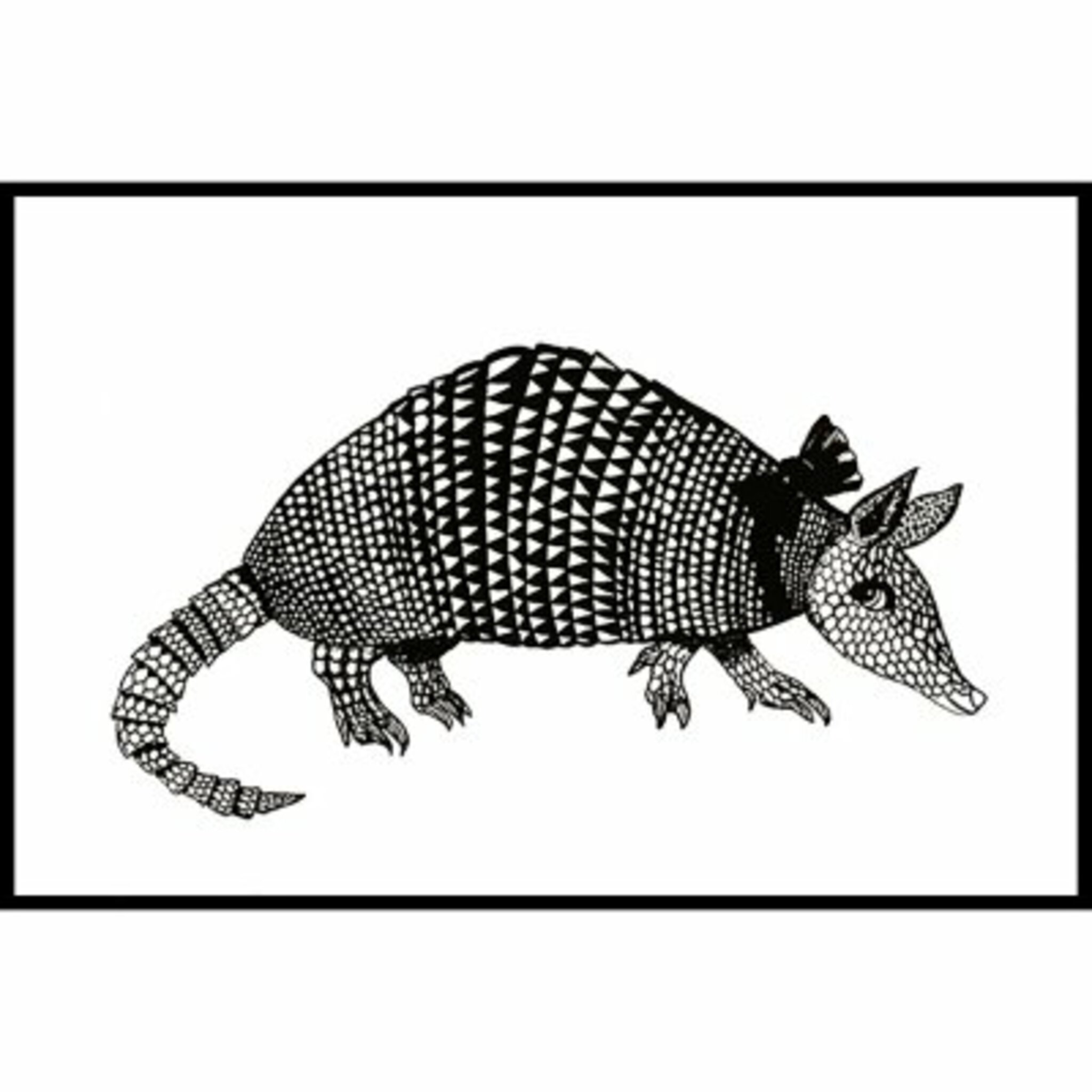 Armadillo Poster