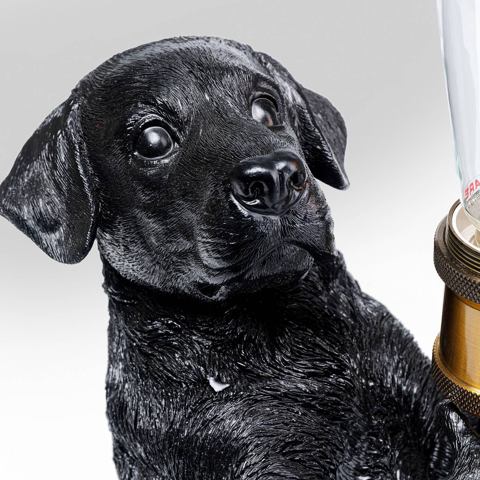 KARE Animal Perro bordslampa med lock