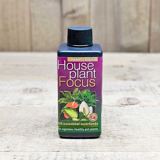Krukväxtnäring Houseplant Focus, 100 ml