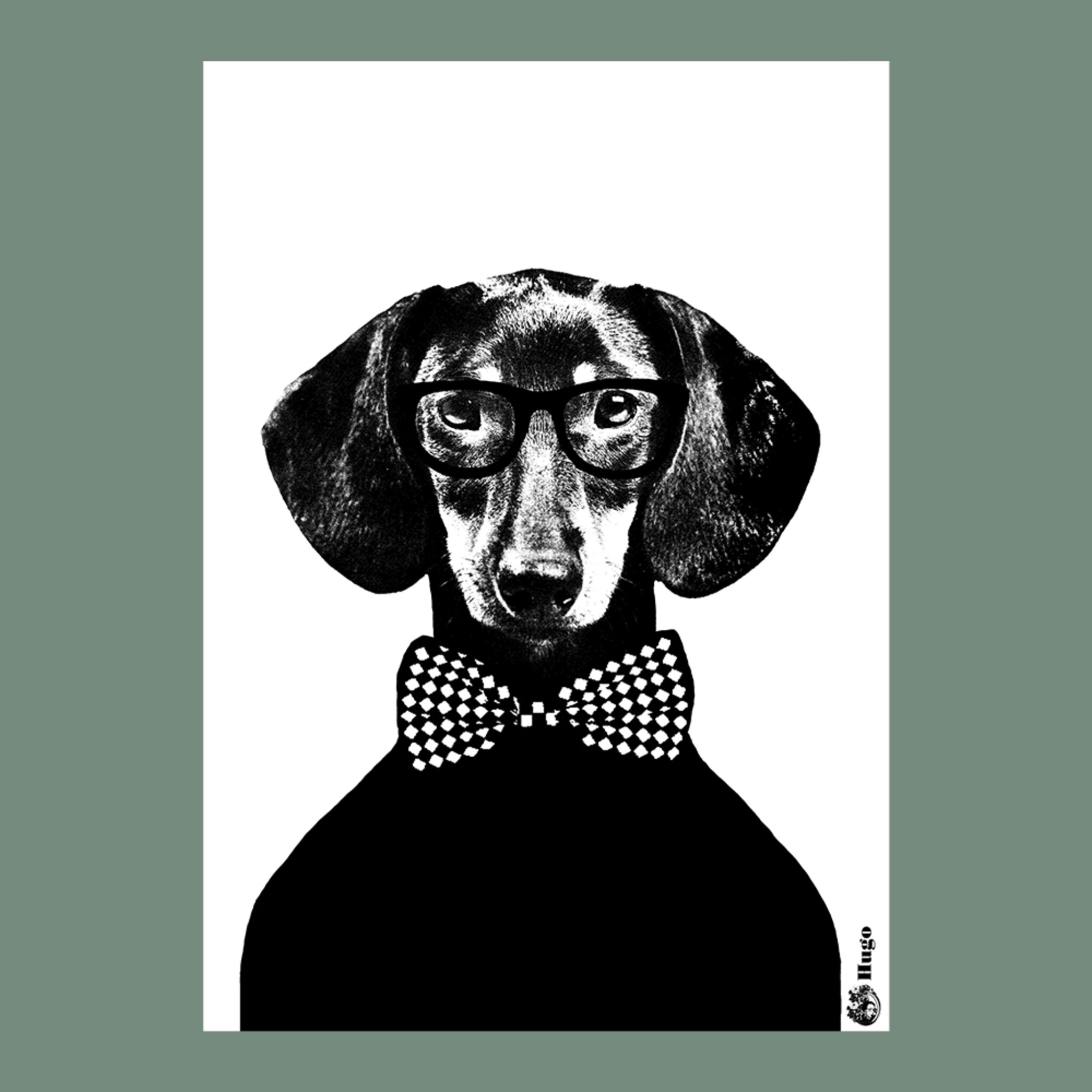 Poster A3 Hugo