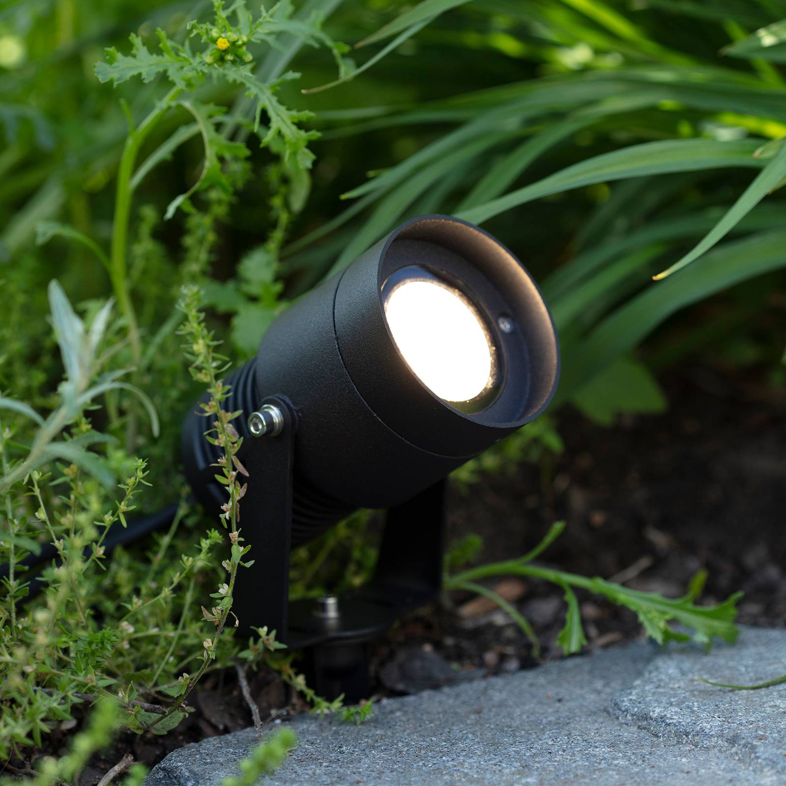 Garden 24 LED-spotlight, svart, 15 watt