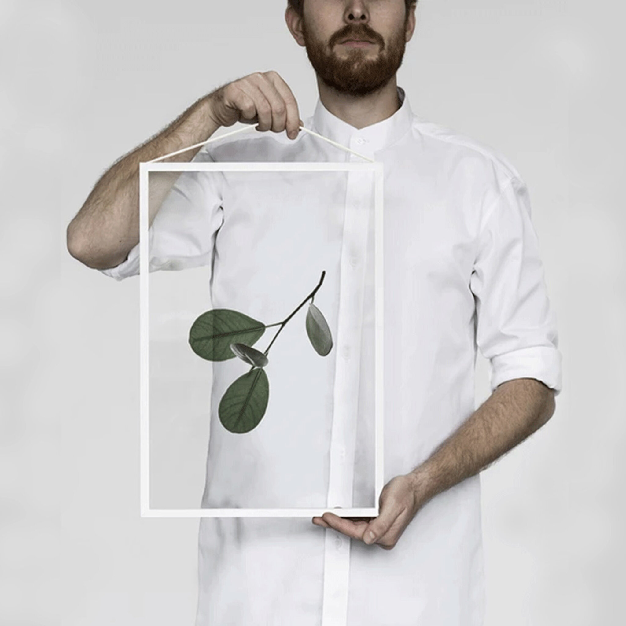 Print Floating Leaves No. 5, A3, A3