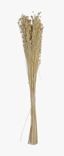 Lino grass bukett offwhite