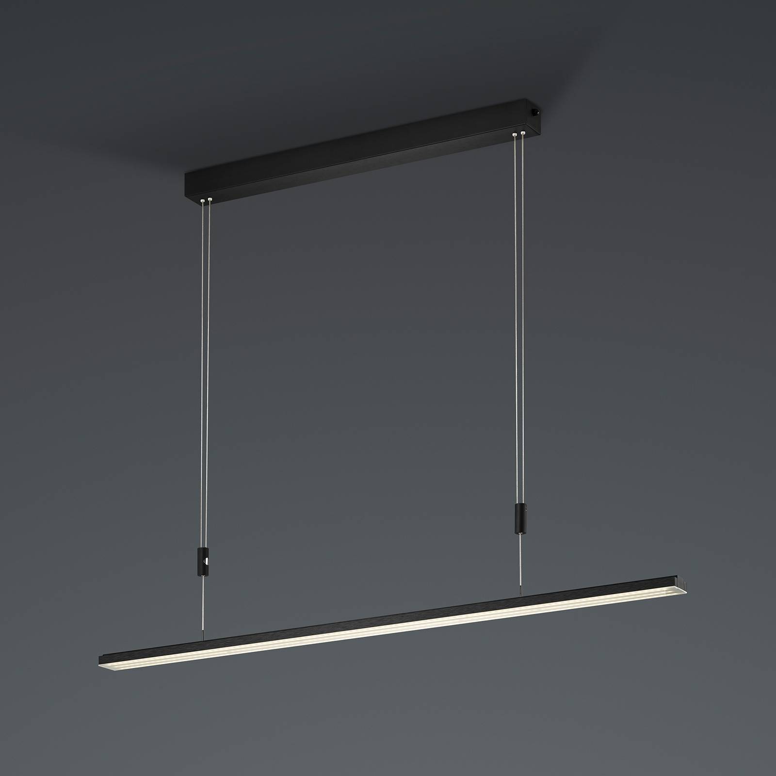 BANKAMP L-lightLINE CCT VerticalDim ZigBee svart