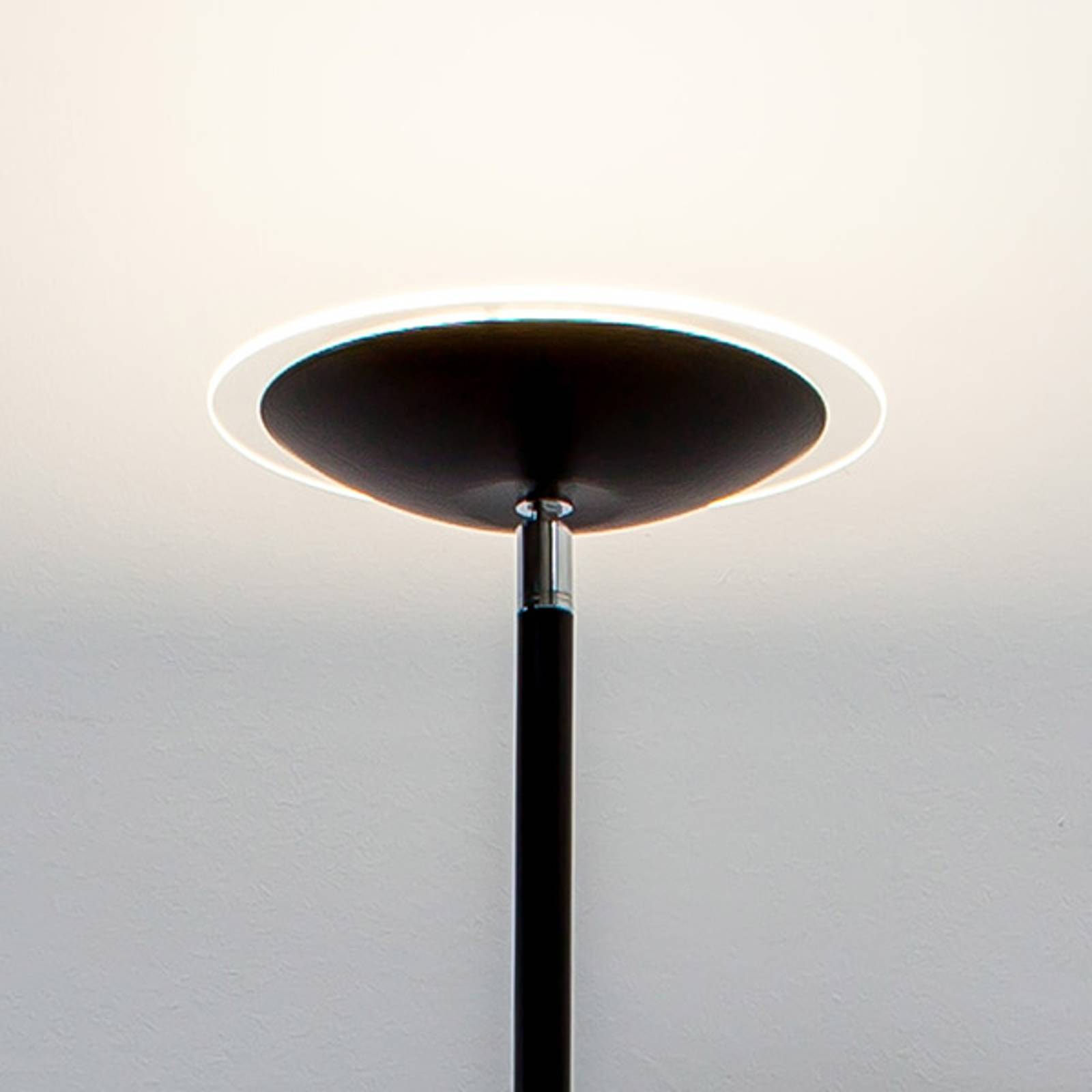 Svart LED-uplight-golvlampa Malea