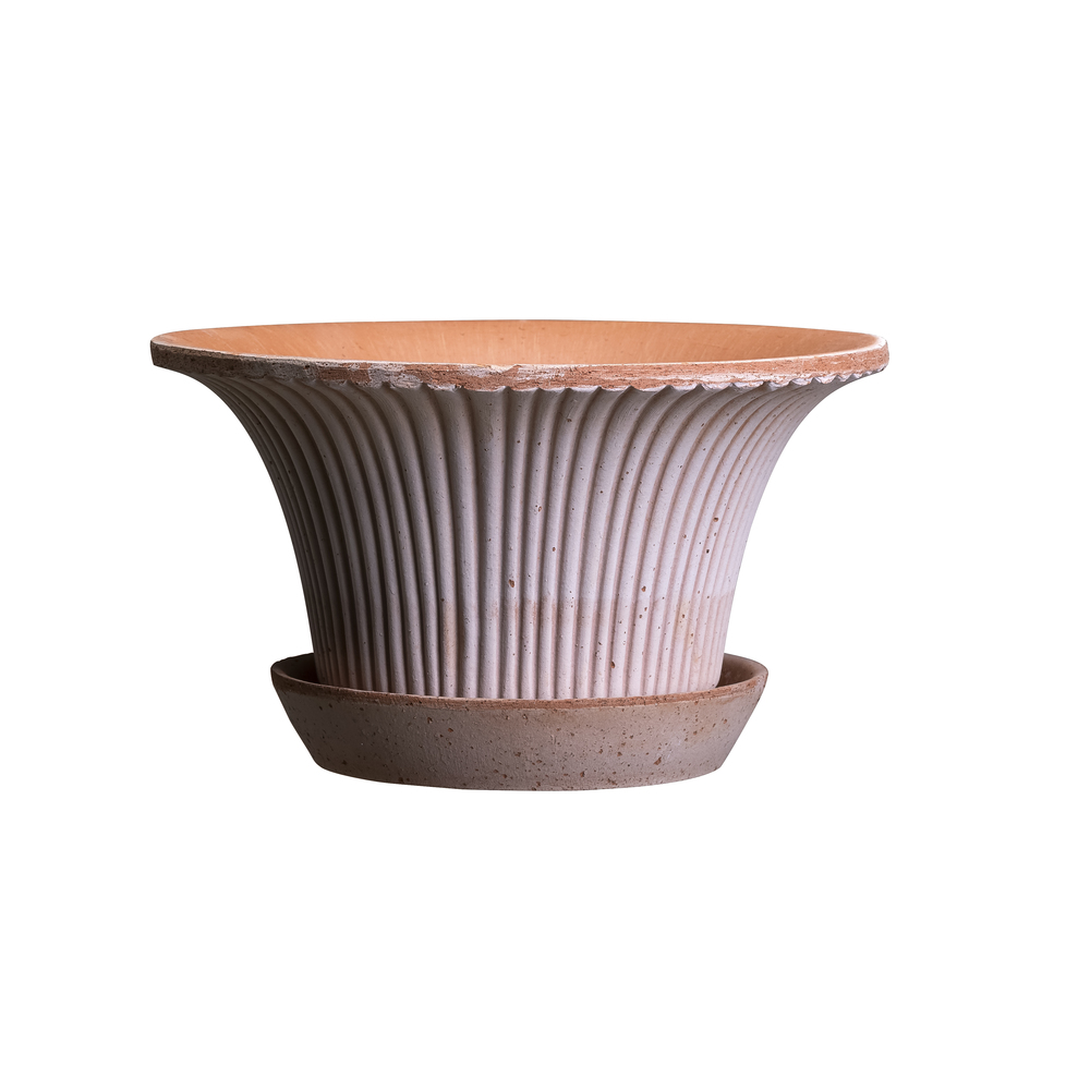 Bergs Potter Daisy Rose 25 cm kruka