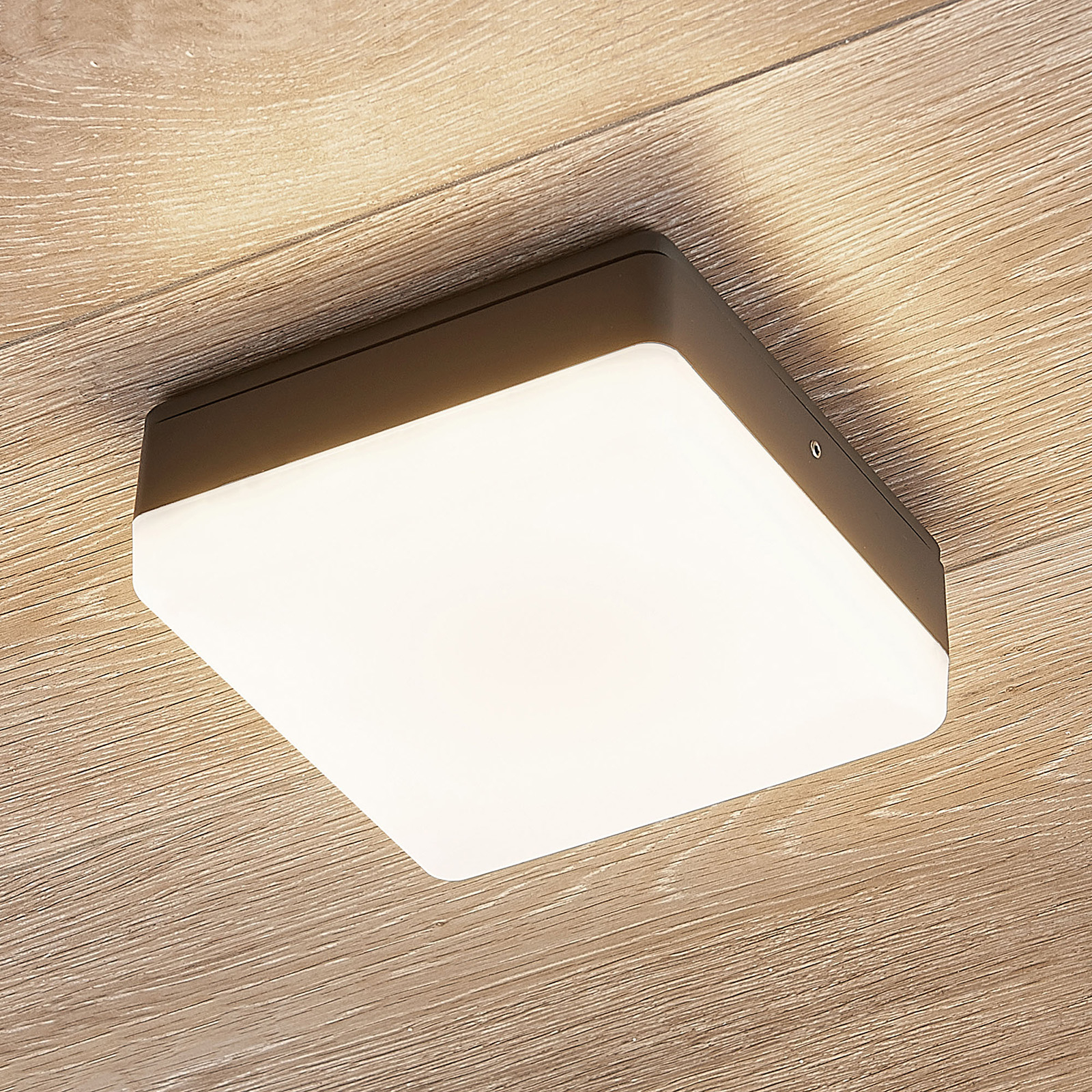 LED-taklampa Thilo, IP54, grå, 16 cm, HF-sensor