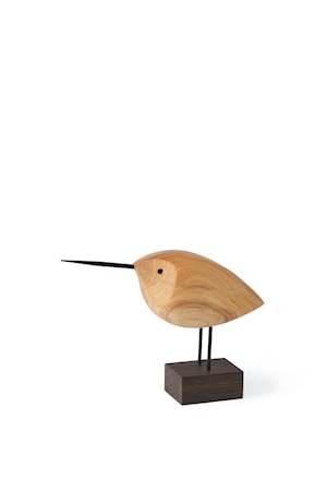 Beak Bird Awake Snipe