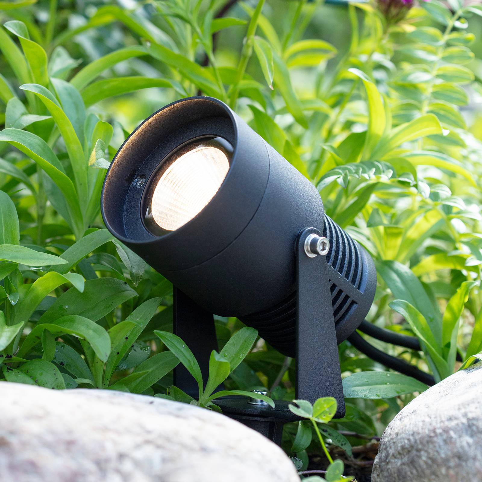 Garden 24 LED-spotlight, svart, 3 watt