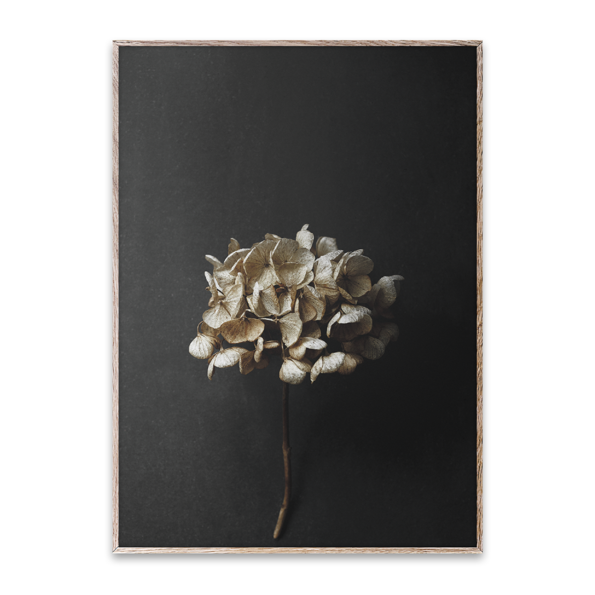 Paper Collective Poster Still Life 04 30x40 cm