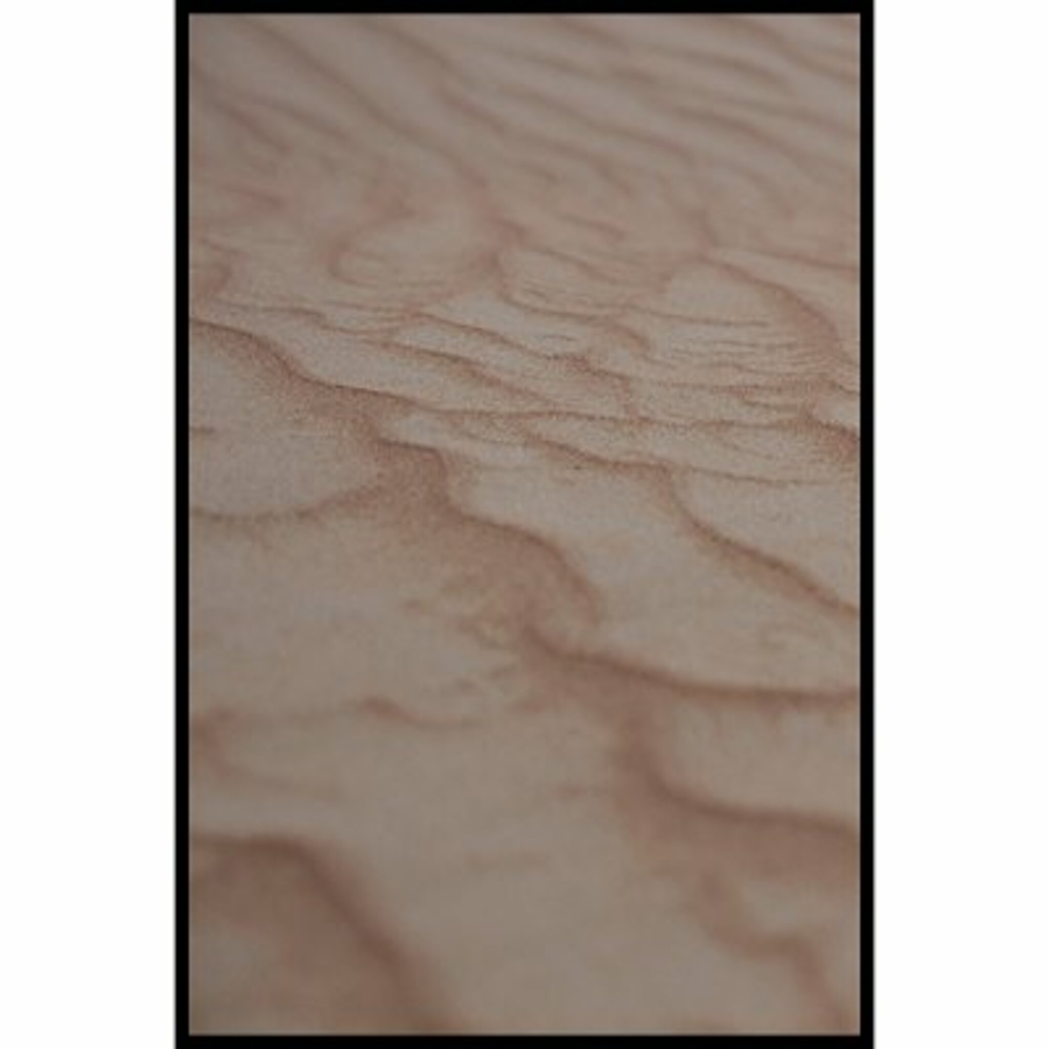 Sandy L Poster