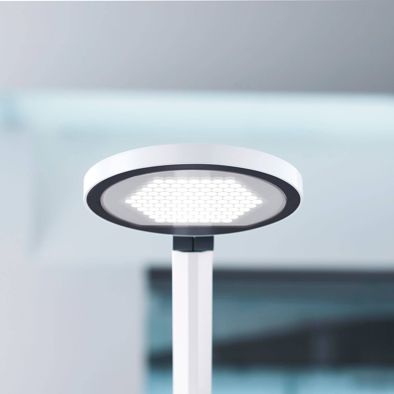 LED-bordslampa PARA.MI FTL 102 R vit 930