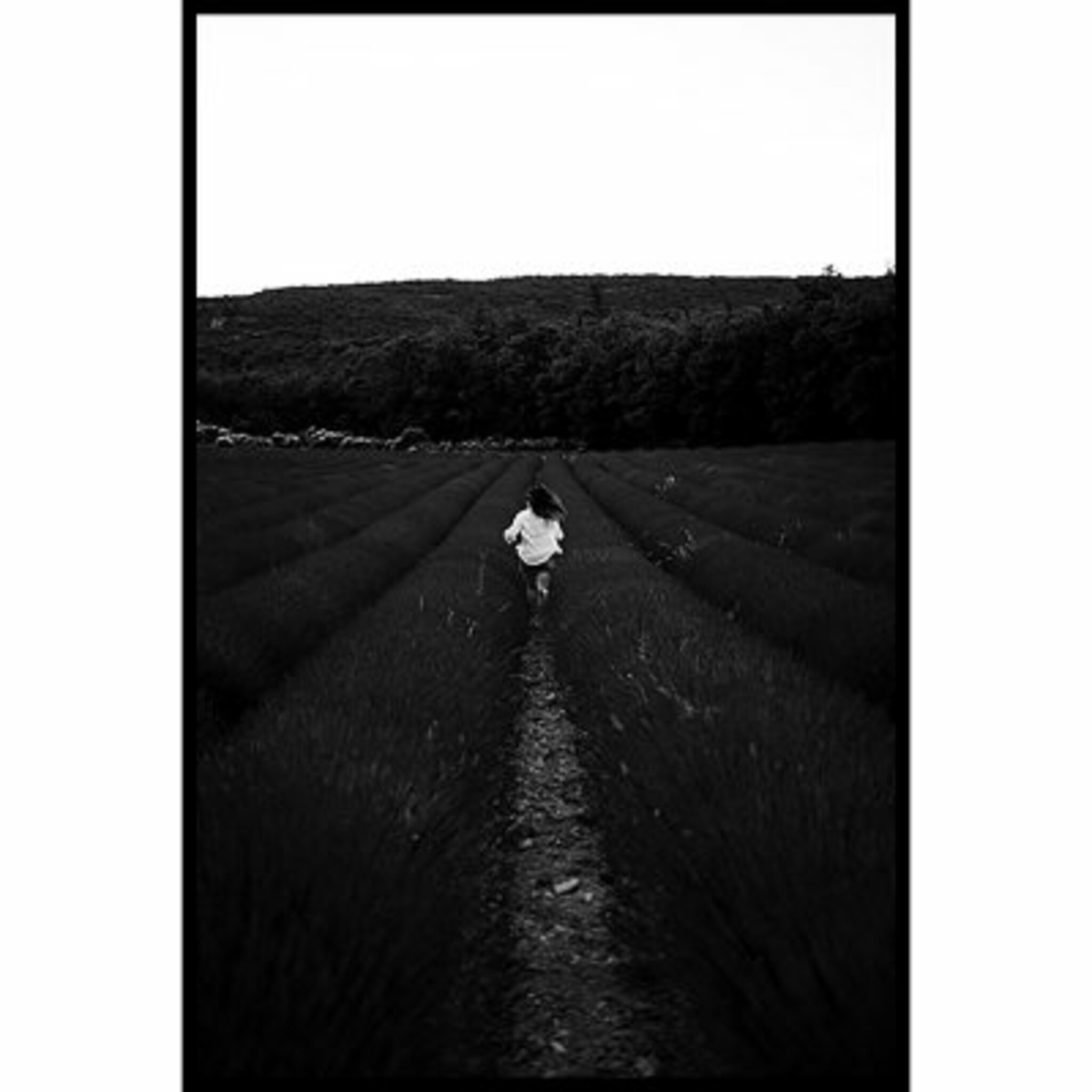 Field Run Poster