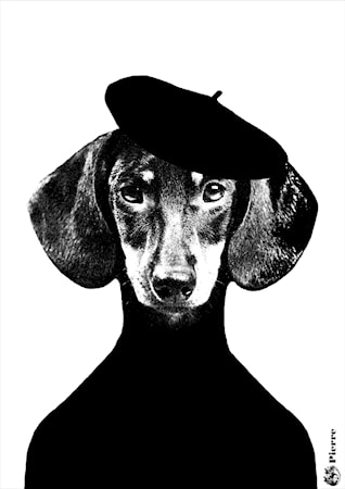 Pierre Poster A4