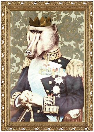 Kungen poster 50x70