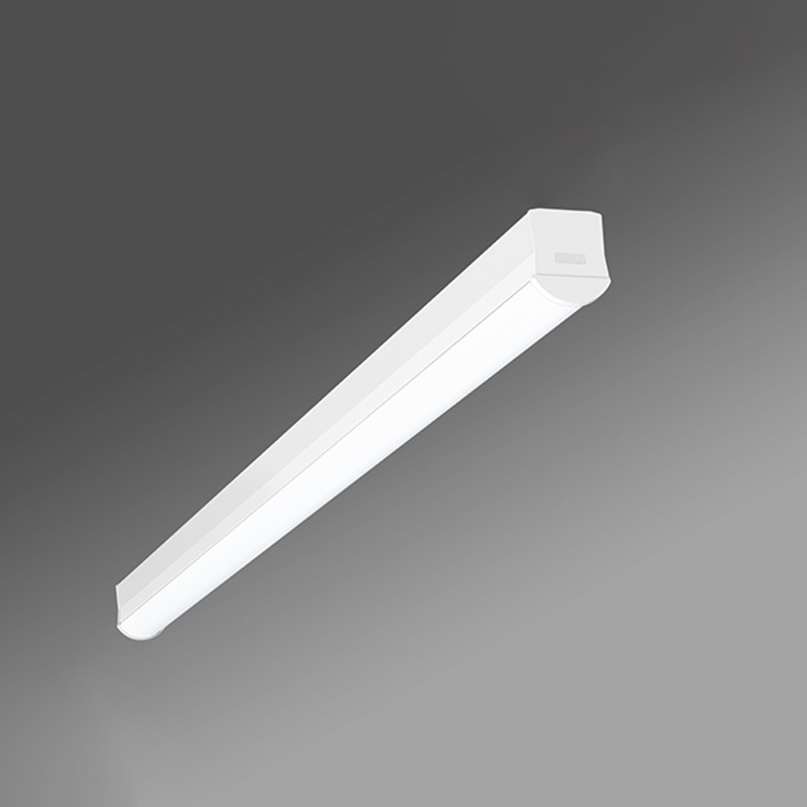 Lång LED-taklampa Ilia-ILG/1200 4 000 K