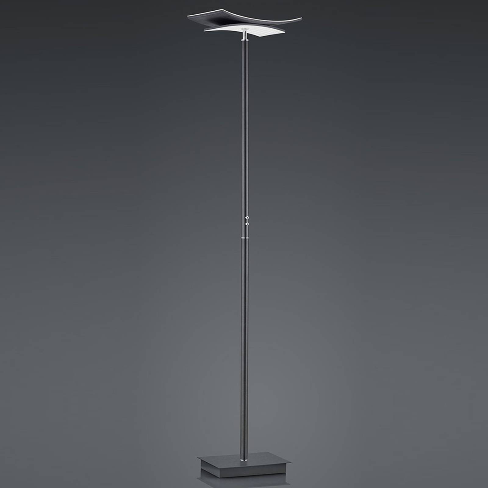 B-Leuchten Liberty LED-golvlampa, antracit