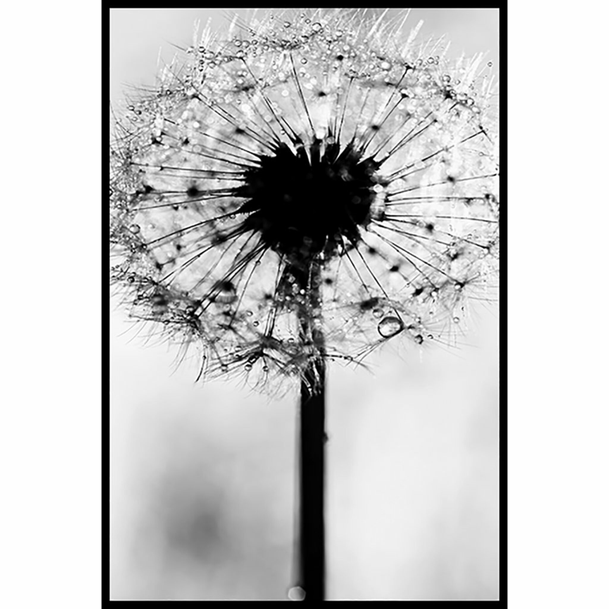Hope Poster
