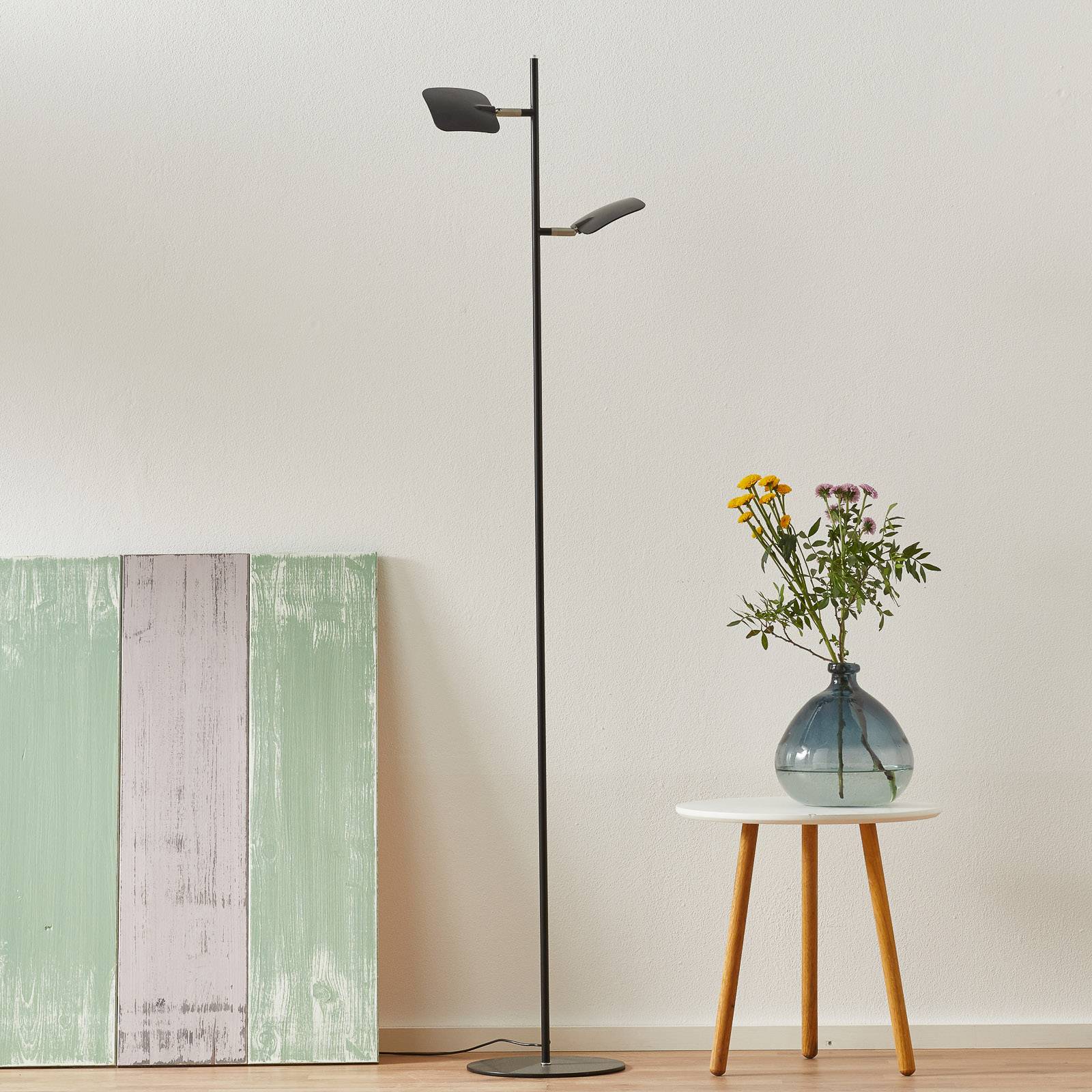 LED-golvlampa Raggio, 2 lampor, svart