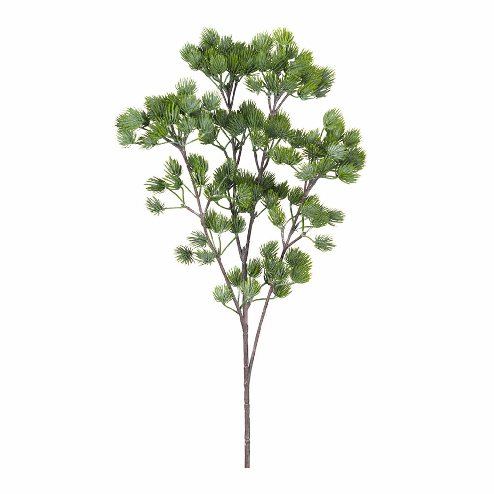 Lärkkvist 65 cm, 65