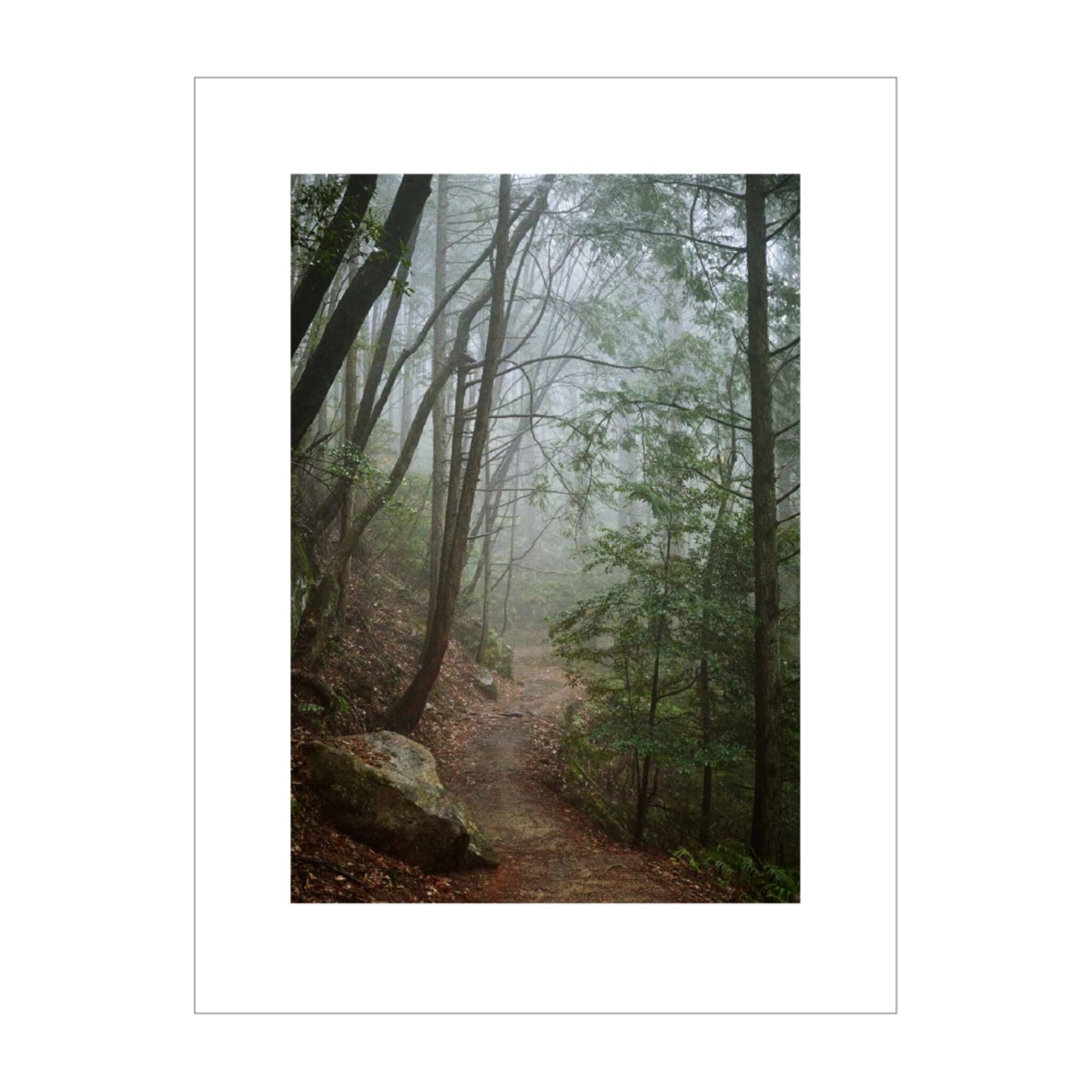 The Walk #7