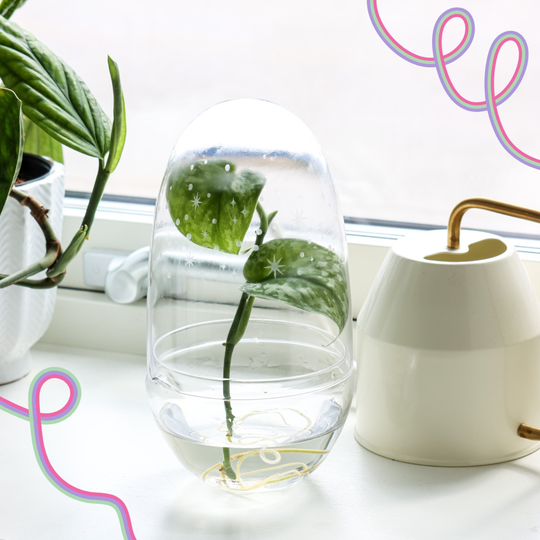 Design House Stockholm Växthus Grow Jubileum M