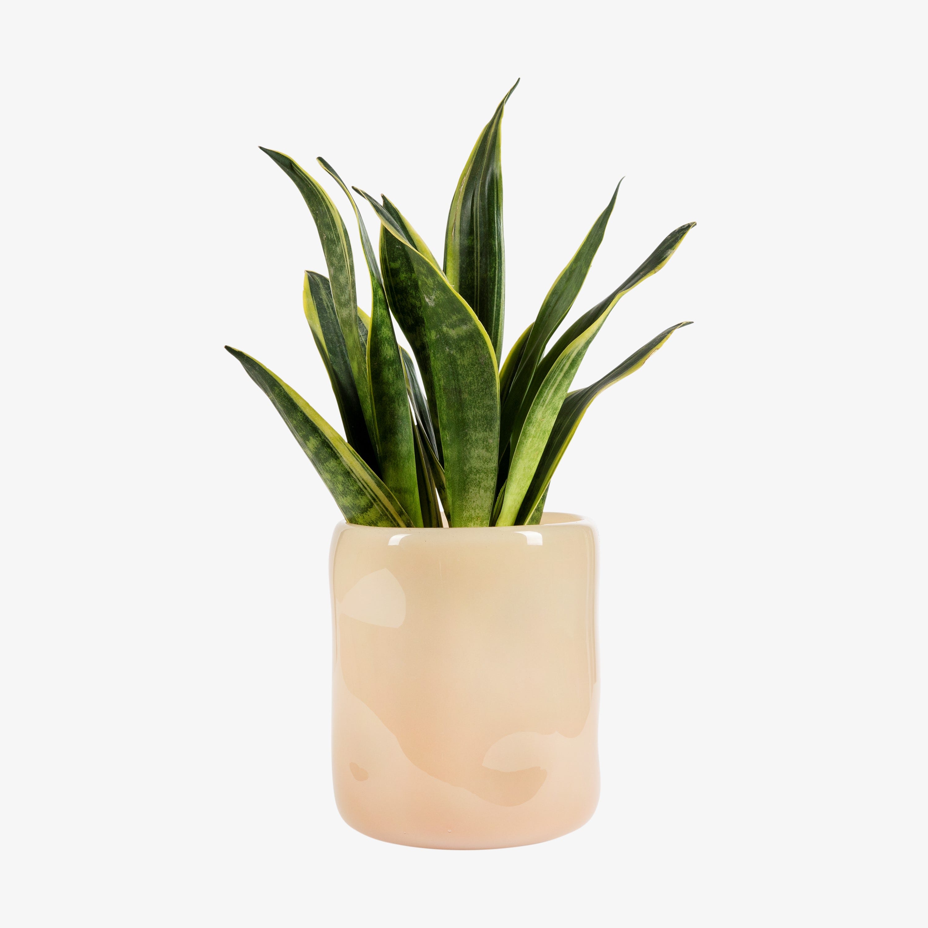 Kruka Milky Stor Beige