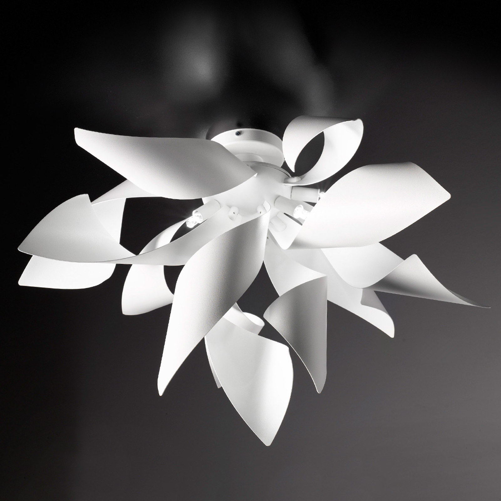 Designertaklampa Ginger, 50 cm