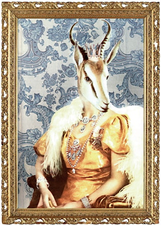 Drottningen von Savannen Poster 50x70 cm