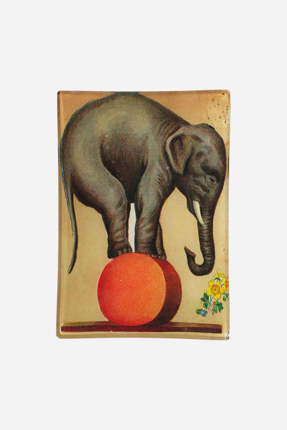 Fat Cirkus elefant