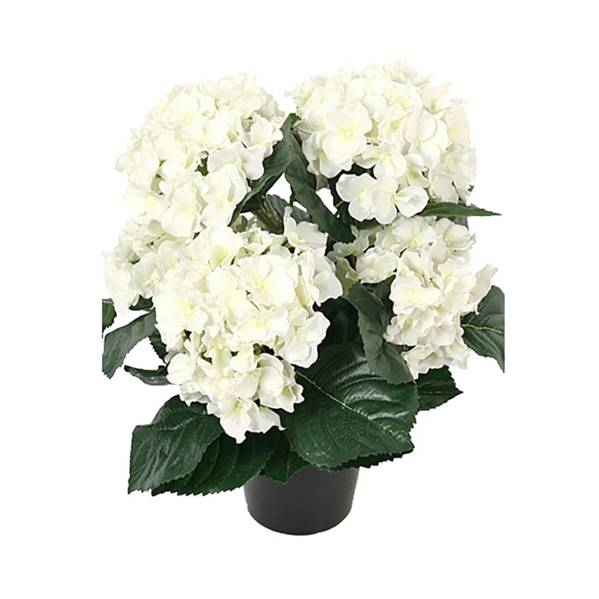 Konstväxt Hortensia kruka 37 cm, 37