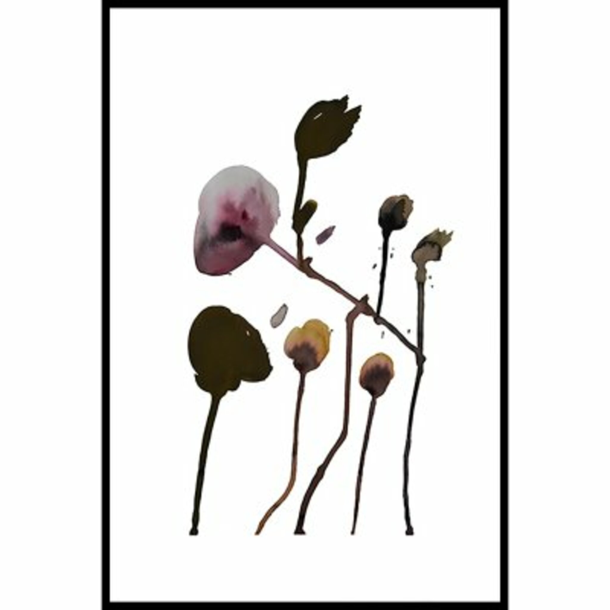 Plant Poster