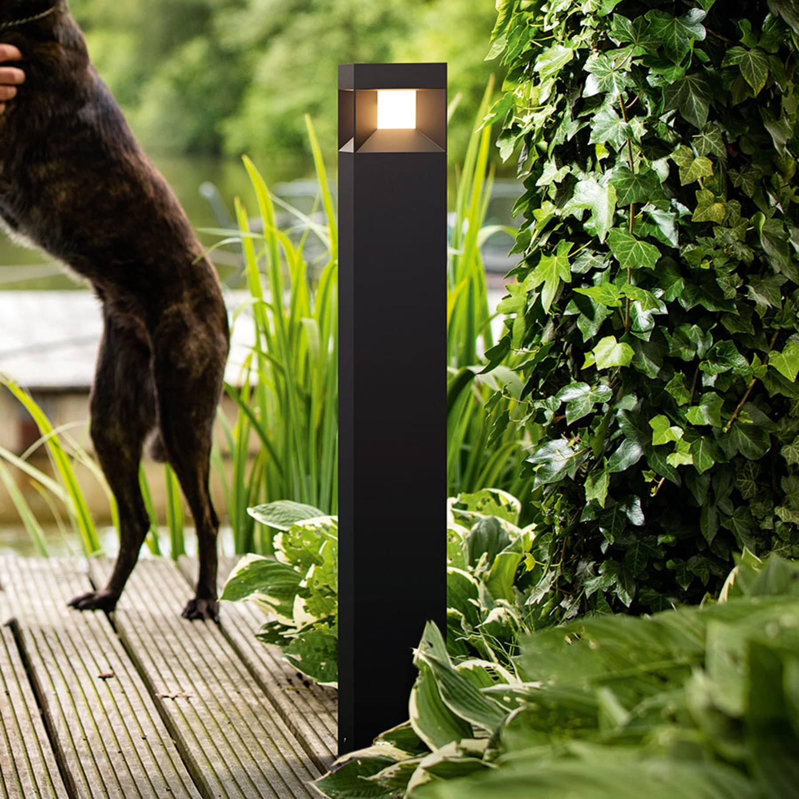 Parterre - svart LED-gatlykta
