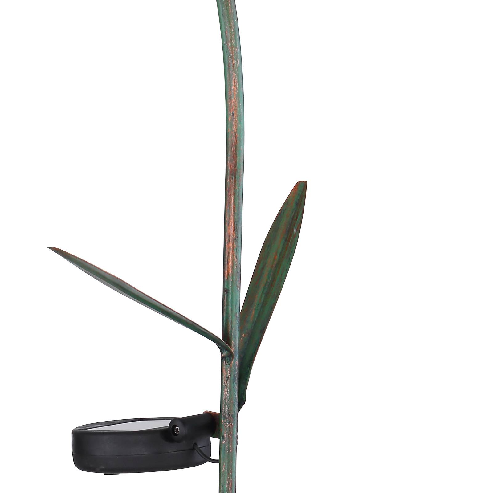 Dekokula med solcell 33653 markspett, blommor