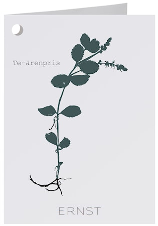 Kort Te-ärenpris
