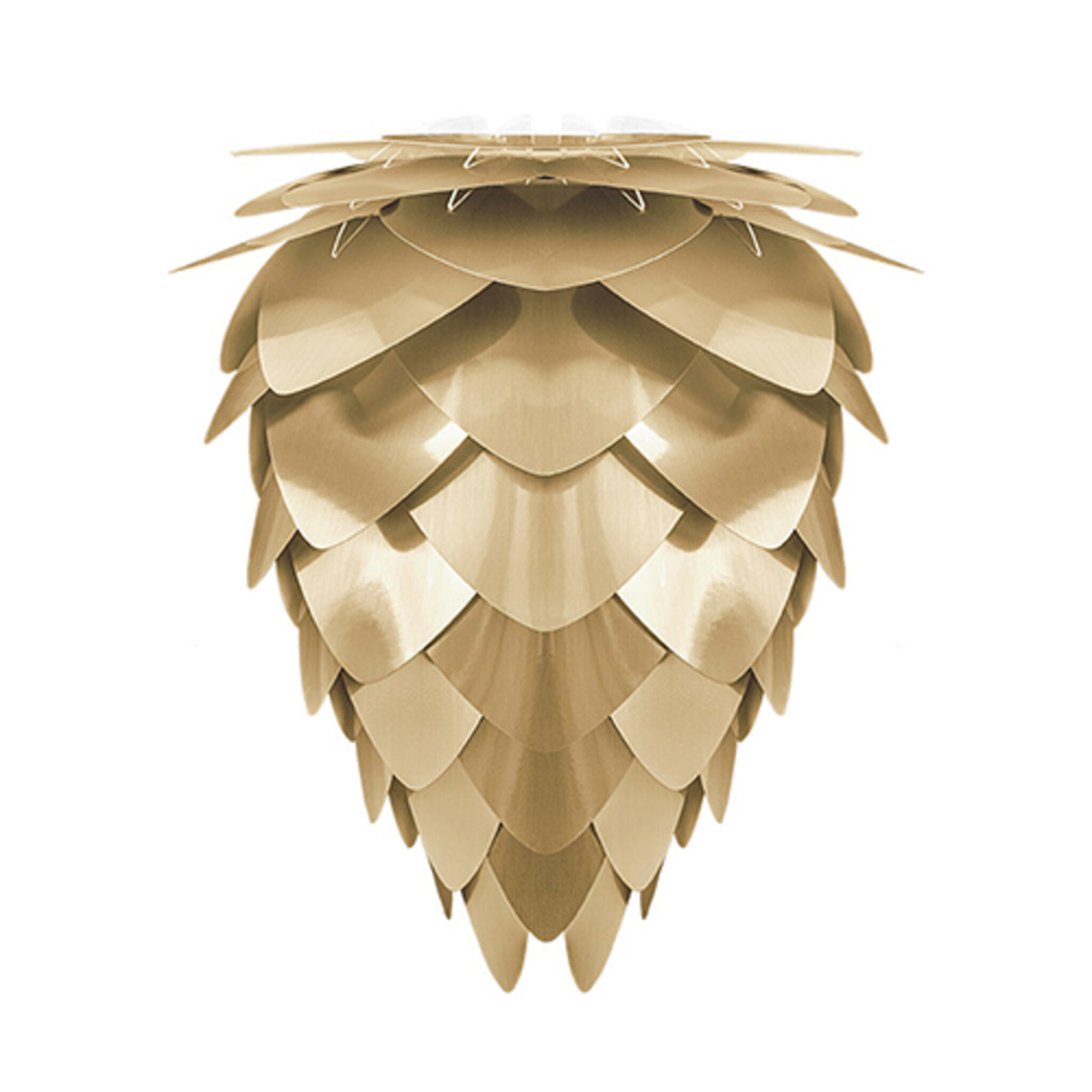 Conia Brushed Brass Ø 40 X 50 Cm