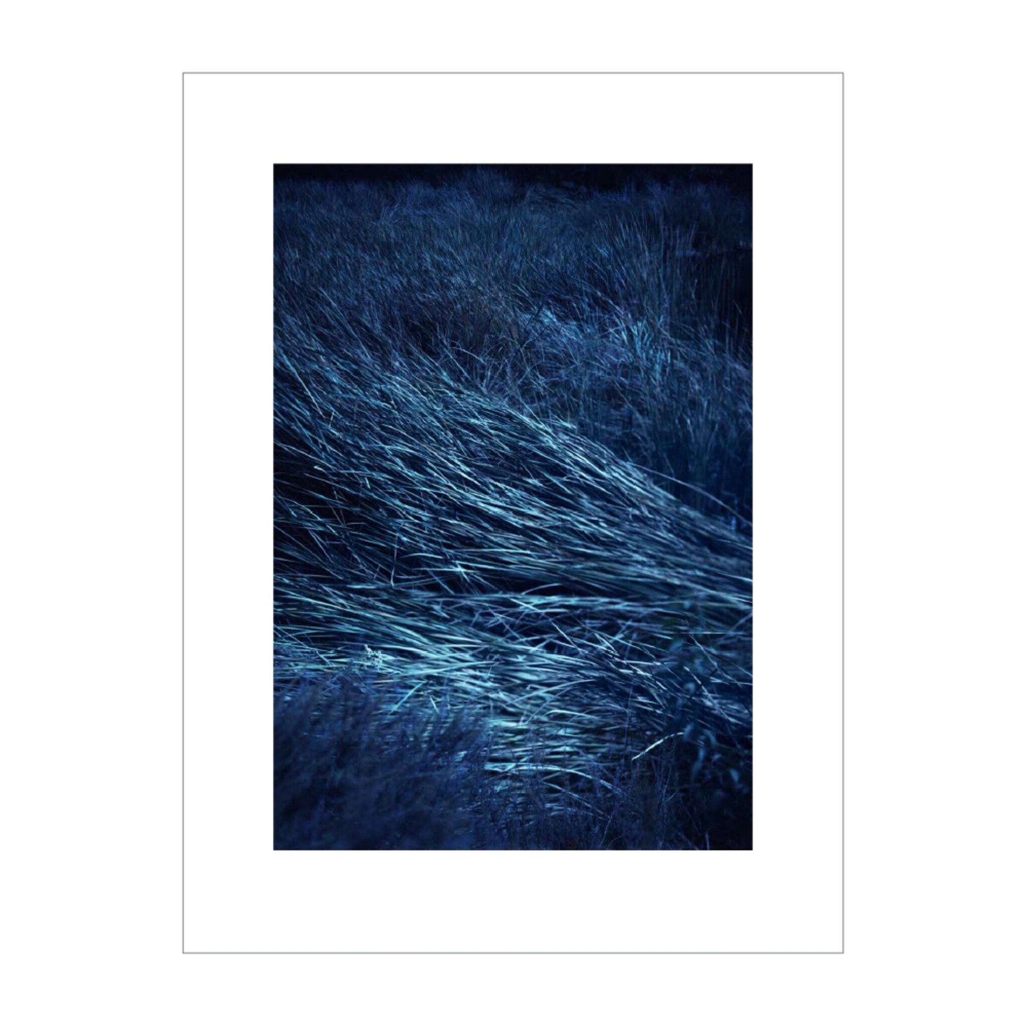 Shades Of Blue #1