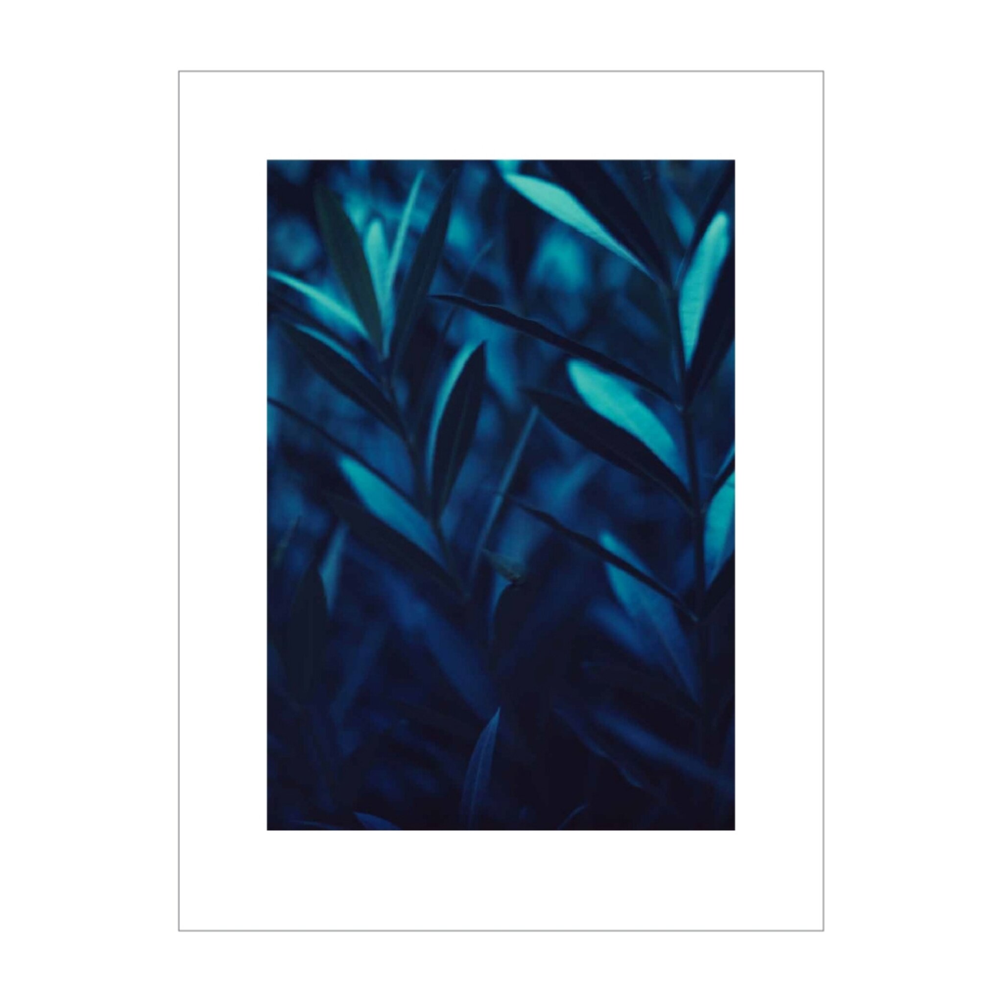 Shades Of Blue #2