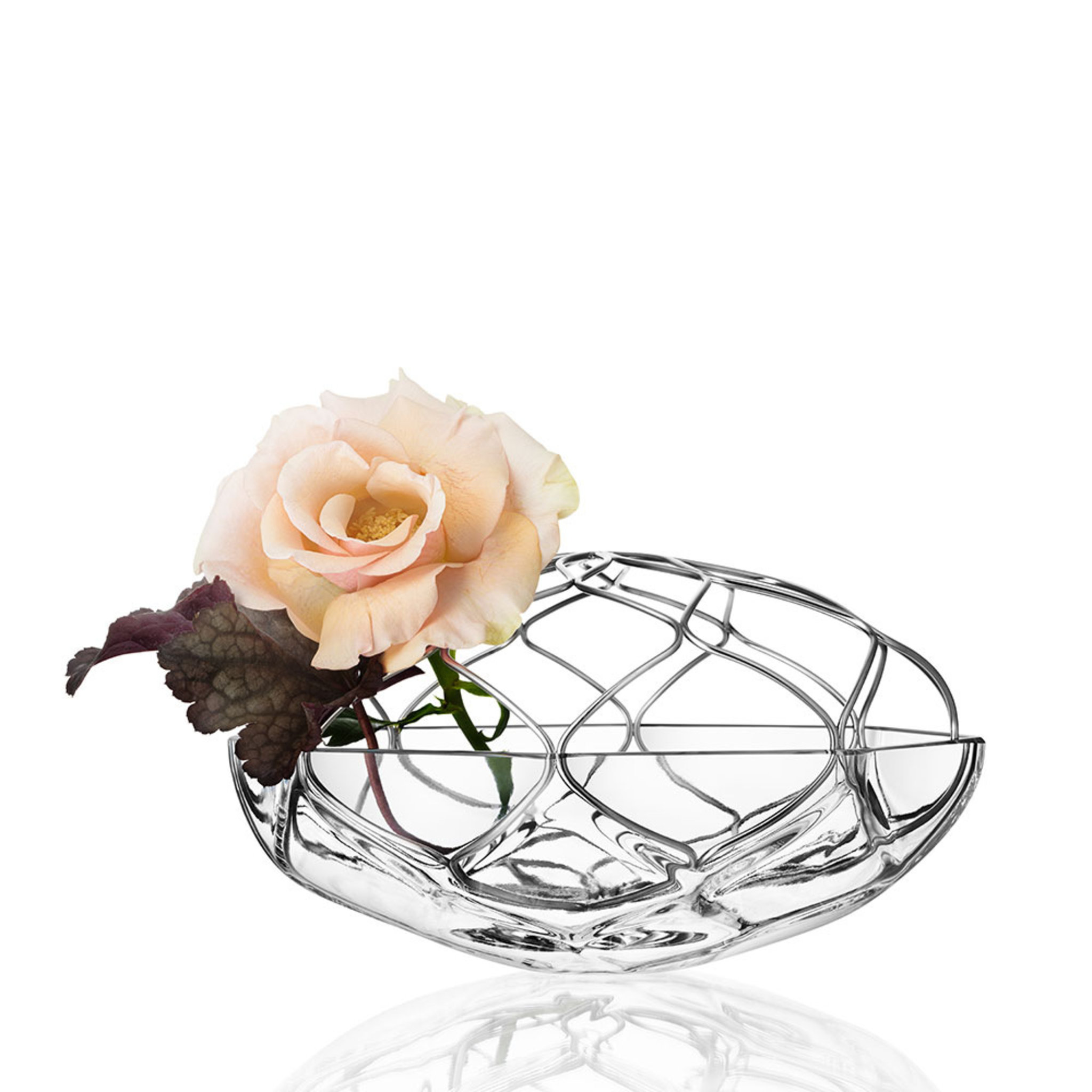 Bloom, Vas , 210MM