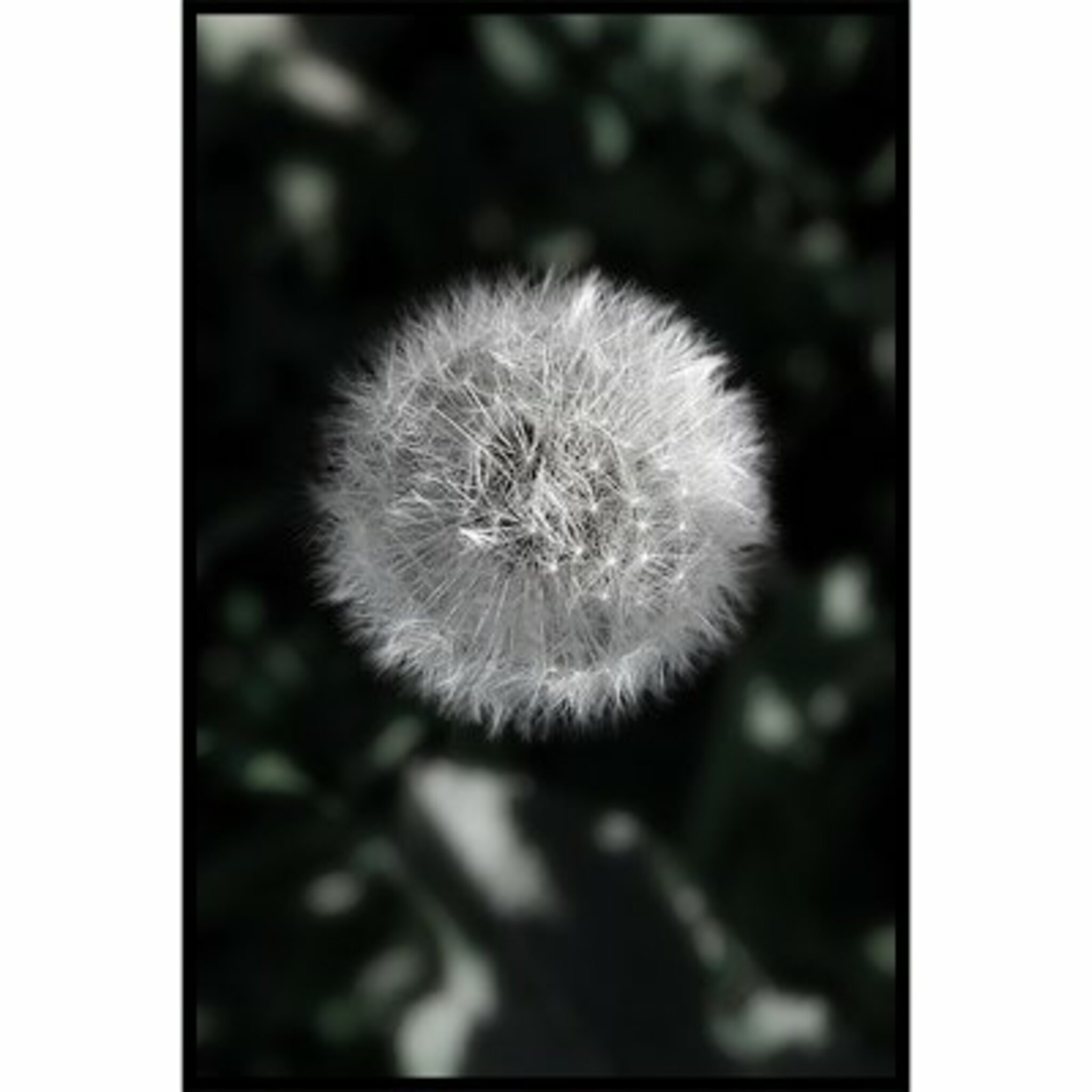 Blow Poster
